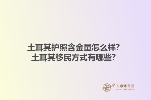 土耳其護照含金量怎么樣？土耳其移民方式有哪些？