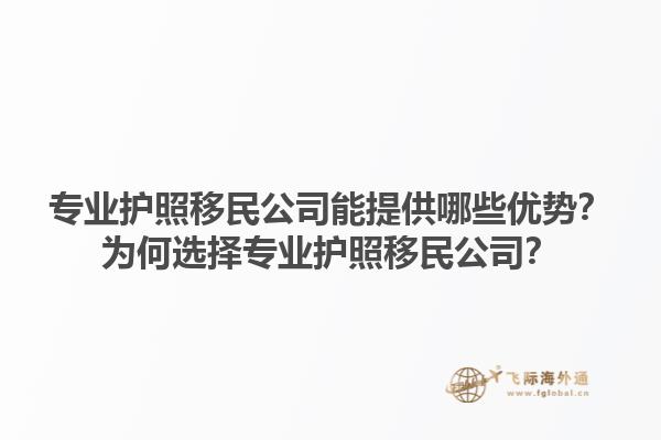 專業(yè)護(hù)照移民公司能提供哪些優(yōu)勢(shì)？為何選擇專業(yè)護(hù)照移民公司？1.jpg