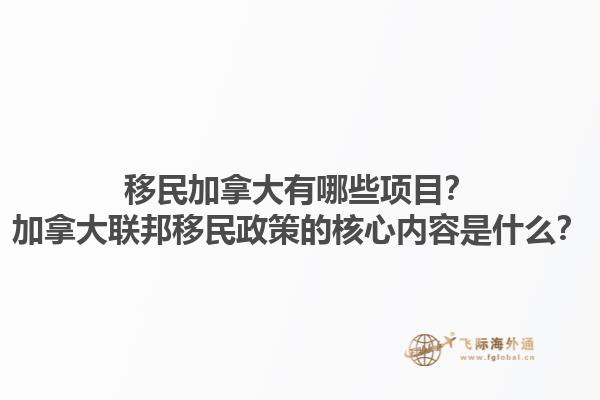 移民加拿大有哪些項目？加拿大聯(lián)邦移民政策的核心內(nèi)容是什么？1.jpg