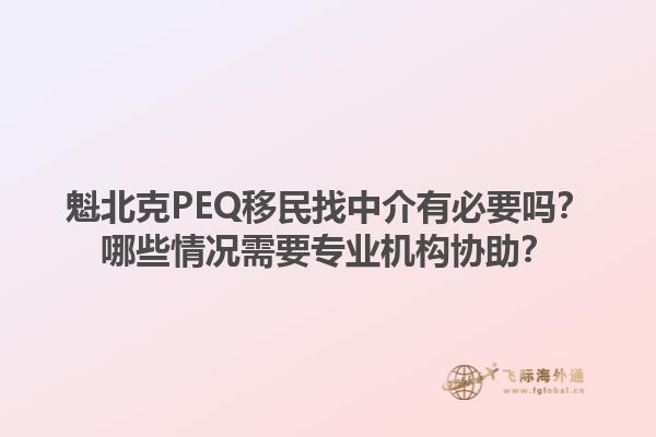 魁北克PEQ移民找中介有必要嗎？哪些情況需要專業(yè)機(jī)構(gòu)協(xié)助？1.jpg