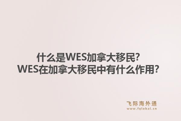 什么是WES加拿大移民？WES在加拿大移民中有什么作用？1.jpg