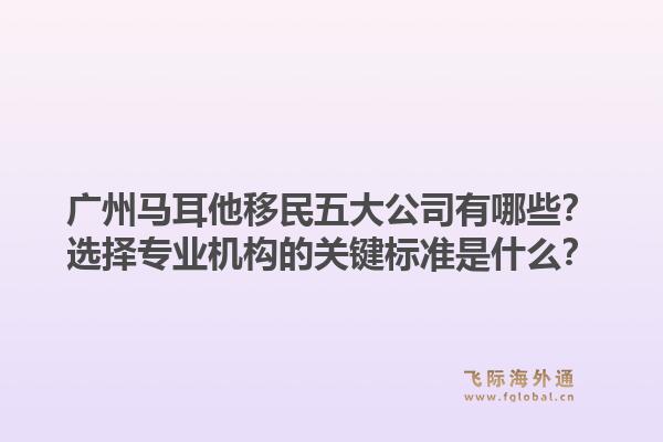 廣州馬耳他移民五大公司有哪些？選擇專業(yè)機構的關鍵標準是什么？1.jpg