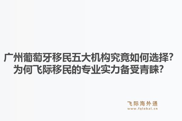 廣州葡萄牙移民五大機構究竟如何選擇？為何飛際移民的專業(yè)實力備受青睞？1.jpg