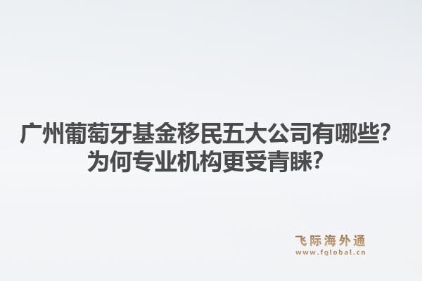 廣州葡萄牙基金移民五大公司有哪些？為何專業(yè)機(jī)構(gòu)更受青睞？