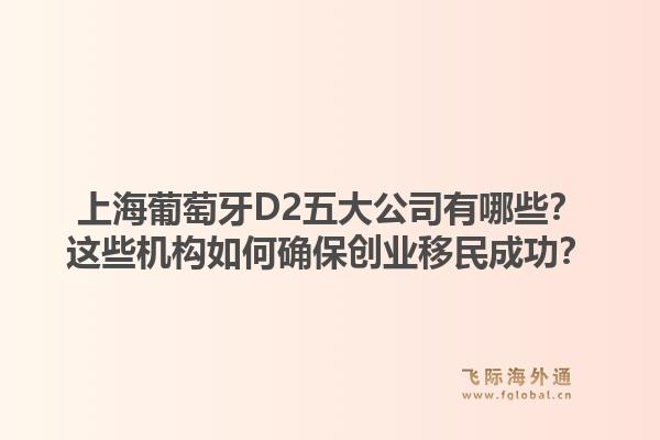 上海葡萄牙D2五大公司有哪些？這些機構(gòu)如何確保創(chuàng)業(yè)移民成功？1.jpg